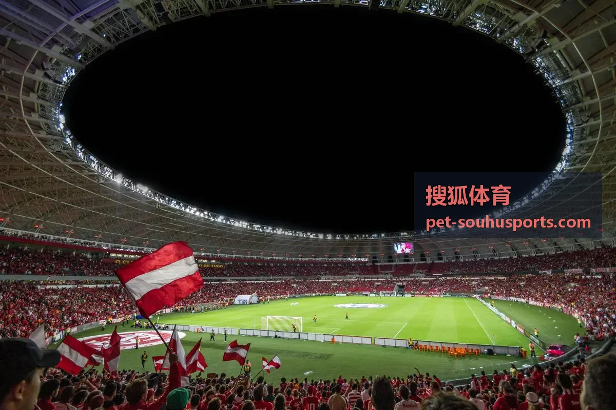 搜狐体育国际大赛频道